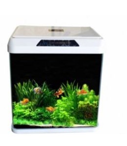 OBLONG AQUARIUM TANK R400 (Color May Vary)