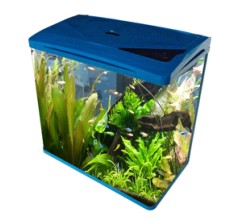 Oblong Aquarium Tank S400