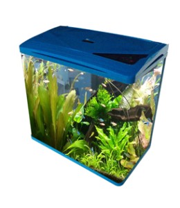 Oblong Aquarium Tank S400