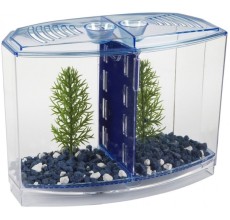 Betta House Double Tank