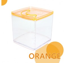 Square Tank Orange