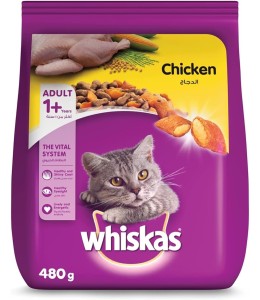 Whiskas Ocean Fish, Dry Food Adult, 1+ Years, 480G