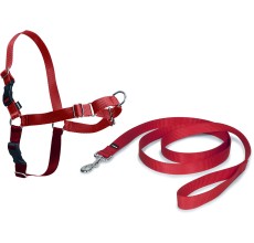 PET SAFE EASY WALK HARNESS SMALL RED ROHS