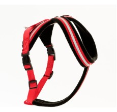 COA 4426 SMALL COMFY HARNERSS