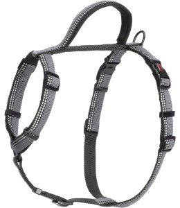 COA HW012 HALTI Walking Harness Black Small