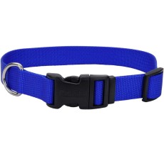 Coastal 1in Tuff Dog Collar Large Blue