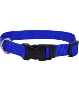 Coastal 1in Tuff Dog Collar Large Blue
