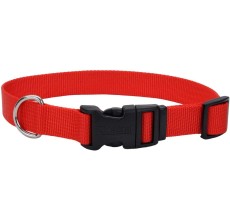 Coastal 1in Tuff Dog Collar Large Red