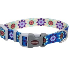 Coastal 3/4in Sublime Dog Collar Flower Purple and Yellow Small/ Medium