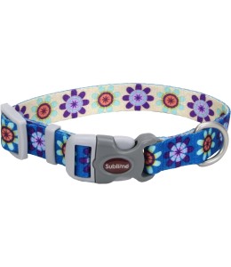 Coastal 3/4in Sublime Dog Collar Flower Purple and Yellow Small/ Medium