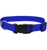 Coastal 3/8" Tuff Dog  Collar X-Small Blue