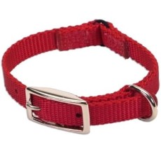 Coastal 3/8in Safety Cat Collar Red