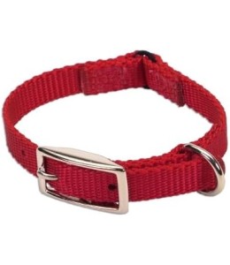 Coastal 3/8in Safety Cat Collar Red