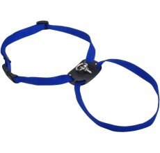 Coastal 3/8in Size Right Harness X-Small Red