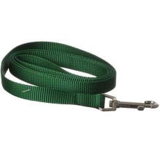 Coastal 5/8in Dog Lead Hunter Green 4 Feet Long 5/8 Wide