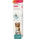 IntestoPro Anti Diarrhea Paste Syringe Large Dog 2 x 20ml