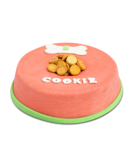 Doggy-Bowl Cake for Dogs (Pink)