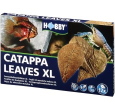 Catappa Leaves XL (12 pcs)