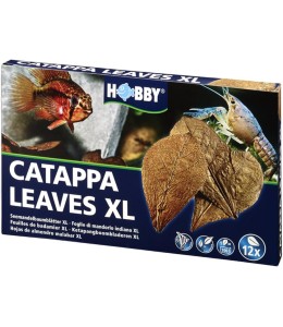 Catappa Leaves XL (12 pcs)