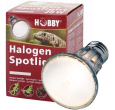Diamond Halogen Spot 28 W