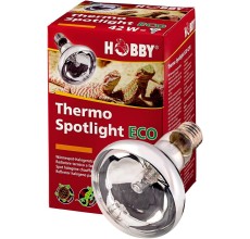 Thermo Spotlight ECO 42W