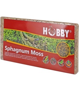 Spaghnum Moss 100g