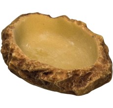 Flat Drinking Bowl Medium