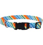 Coastal 1In Attire Dog Collar Pink Dots Large