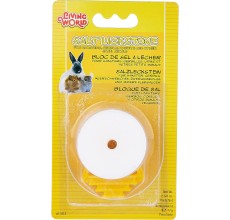 Living World Salt Lick Block 77g