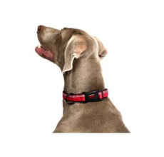 COA HC034 HALTI Collar Red Large