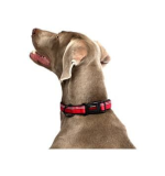 COA HC014 HALTI Collar Red Small