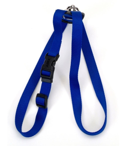 Coastal 1 and Size Right Harness Large Blue