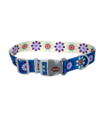 Coastal 1.5 and Sublime Dog Collar Flower Purple and Yellow Large
