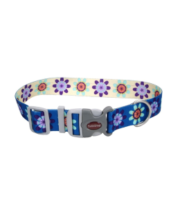 Coastal 1.5 and Sublime Dog Collar Flower Purple and Yellow Large