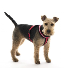 COA LFR5 Comfy Harness Red Medium Size