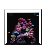 Waterbox CUBE 10 + With Pump L 35 Cm W 36 Cm H 35 Cm