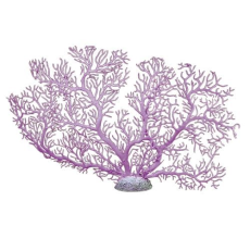 Aqua One Coral Fan Purple 43x30cm (M)
