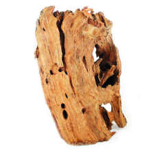 Aqua One Mangrove Root Large (40-60cm) Real Wood