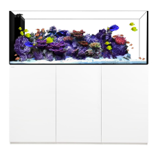 Waterbox Crystal PENINSULA 7225+ Cabinet- L 180CM X W 65CM X W 60CM-WHITE