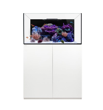 Waterbox Platinum REEF 100.3+ Cabinet- L 90CM X W 60CM X W 55CM-WHITE