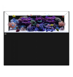 Waterbox Platinum PRO 220.6+ Cabinet- L 180CM X W 65CM X W 60CM-BLACK