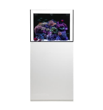 Waterbox SILVER MARINE 60.2 Cabinet L 60CM X W 60CM X W 45CM WHITE