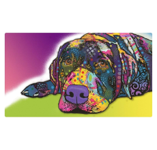 Drymate Placement Mats For Dogs Savvy Labrador 16 X 28 Inches