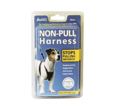 COA LS01 Non-Pull Harness Black Small
