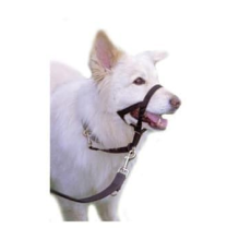 COA HSL Link Black-Large