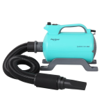 Shernbao Super Cyclone Single Motor Dryer With heating unit With 3pcs Blower Nozzles and Flexible Hose (φ50mm) Spring Green UK Plug