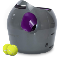 Pet Safe Automatic Ball Launcher
