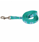 Petmate Aspen Pet Dog Leash 1"X6' Teal Stripe