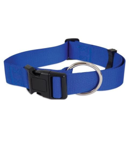 Petmate Nylon Adjustable Dog Collar 5/8"X10-16" Royal Blue