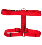 Petmate Nylon Dog Harness 1"X28-36" Red